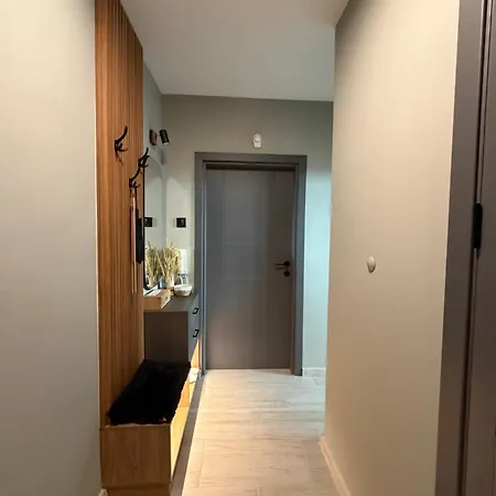 Design וארנה